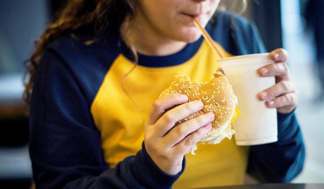 La comida chatarra y alimentos ultraprocesados provocan obesidad y son el camino a la diabetes. Foto: Difusión