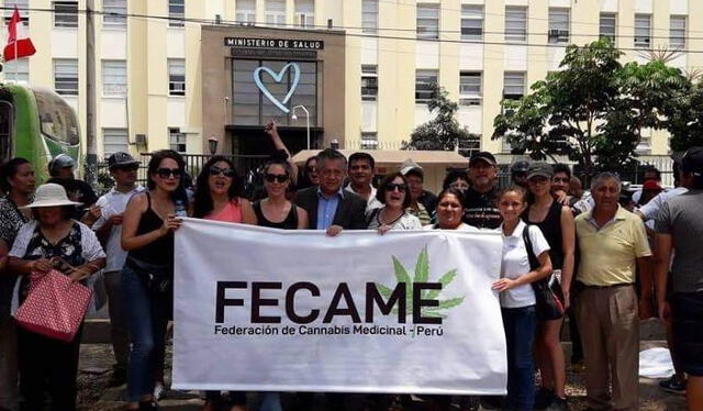  Federación lucha por la legalización de la planta de marihuana para pacientes de cannabis medicinal. Foto: Fecame   