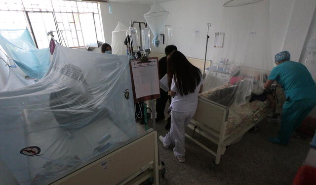  En Lambayeque, ya son 77 personas fallecidas por dengue. Foto: La República    