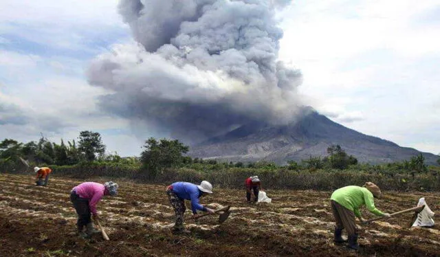  Cenizas del volcán Ubinas podría afectar la salud de las personas y la vida de los animales. Foto: Tiempo Minero   