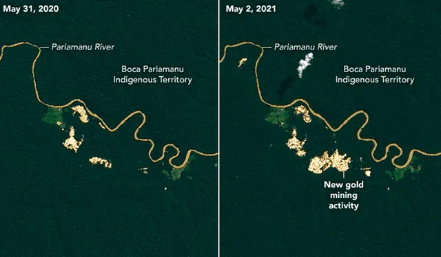  Evolución de la actividad minera a lo largo del río Pariamanu. Fotos: NASA    