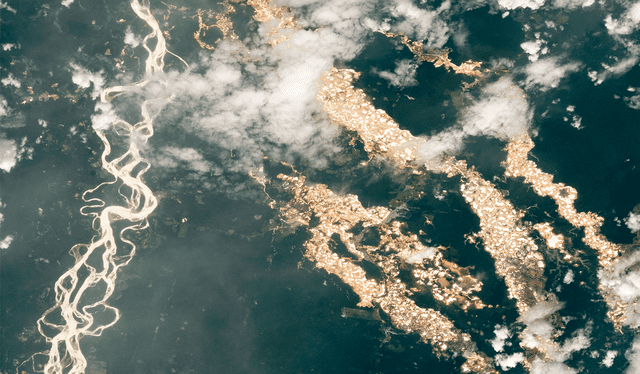  La acumulación de pozos luce como una red de 'ríos de oro', cerca del Inambari. Foto: NASA    