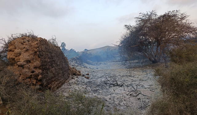  Incendio. Foto: Yolanda Goicochea/La República    