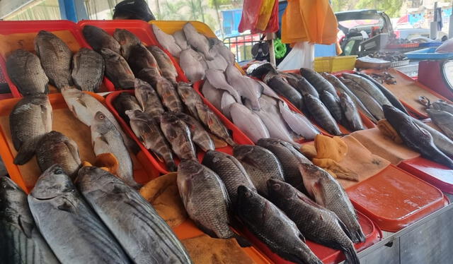  Pescados más demandados en el Terminal Pesquero de Chorrillos. Foto: Bella Alvites / URPI-LR<br><br>  
