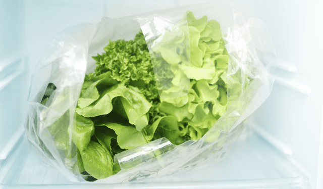 La lechuga es una verdura de hoja verde. Foto: difusión   