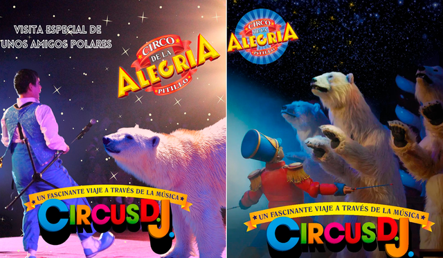 Este año habrá un acto de osos polares en "El circo de la alegría". Fotos: difusión   