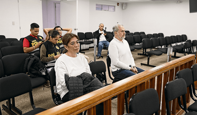 Sada Goray Chong y Mauricio Fernandini durante la audiencia de control dirigida por el magistrado Jorge Chávez Tamariz. Foto: Poder Judicial   