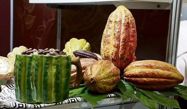  Importancia. La producción de cacao involucra a más de 100.000 familias en 14 regiones del país. Foto: difusión<br><br>    