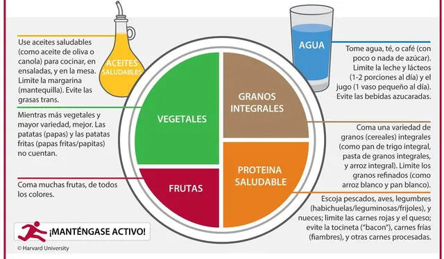  Plato para comer saludable de Harvard. Foto: difusión   