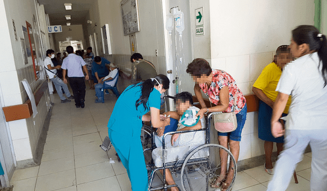  Enfermedades. La propagación del dengue podría aumentar según el Colegio Médico. Foto: difusión   