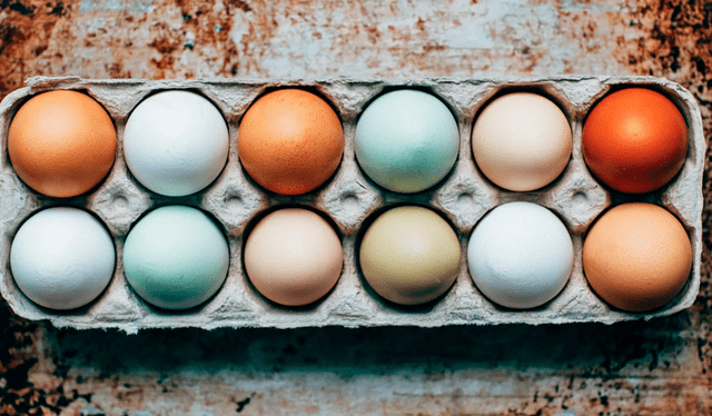 Hay huevos de tonalidades marrones, blancas y azulados. Foto: Unsplash   