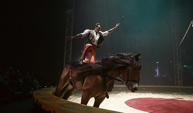  El show con caballos, uno de los grandes atractivos del circo. Foto: Antonio Melgarejo - La República   