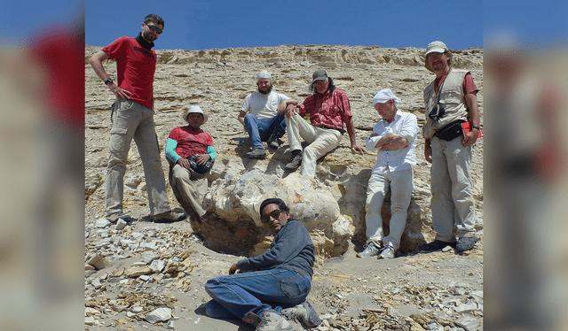  Mario Urbina (centro) y los demás autores de la investigación sobre Perucetus Colossus, con un fósil recién excavado. Foto: Giovanni Biancucci    