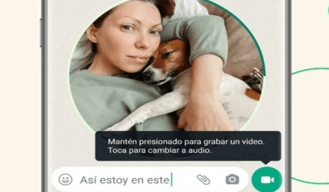 WhatsApp tiene habilitada una nueva función para enviar videomensajes. Foto: Meta   