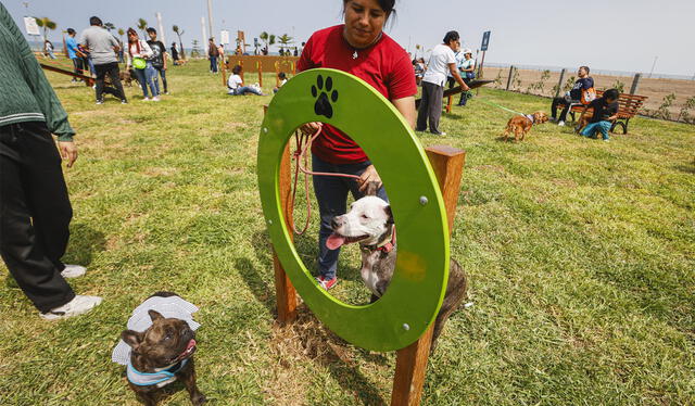 Magdalena del Mar inaugura el primer parque canino del país