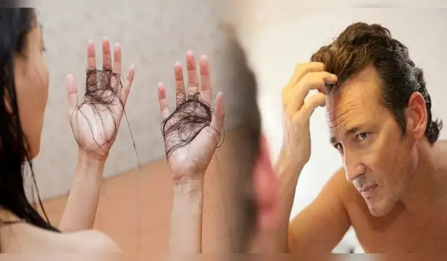 Alimentos que pueden ayudarte a prevenir la caída del cabello. Foto: difusión   