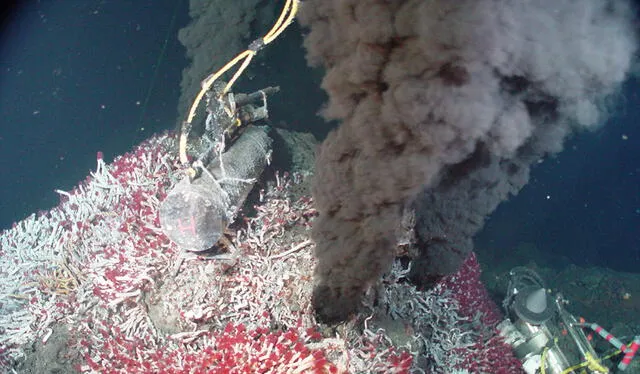Las fuentes hidrotermales pueden llegar a tener temperaturas de 400 grados centígrados. Foto: NOAA   