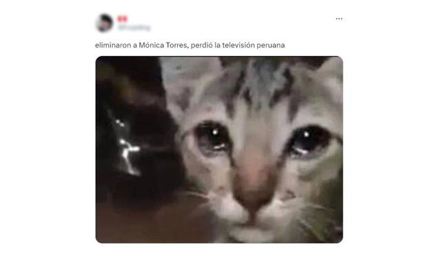  Usuarios reaccionan a la eliminación de Mónica Torres de "El gran chef: famosos". Foto: captura Twitter   