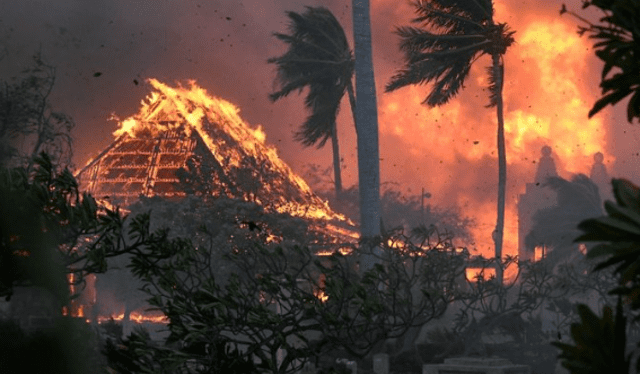 El incendio en Hawái se ha cobrado la vida de más de 90 personas. Foto: Crónica de San Francisco/Instagram    