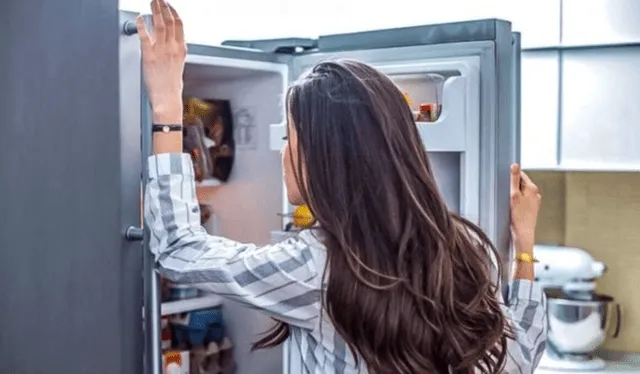  La rerigeradora puede consumir más energía si se la abre varias veces al día. Foto: Ocu.org   