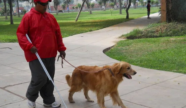  El guante Góngora será de gran ayuda para las personas con discapacidad visual. Foto: Andina    