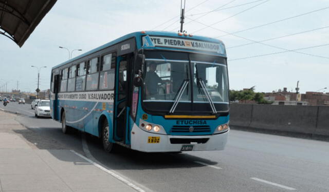 Los buses son color celeste y son más conocidos como "Los Chinos". Foto: difusión   