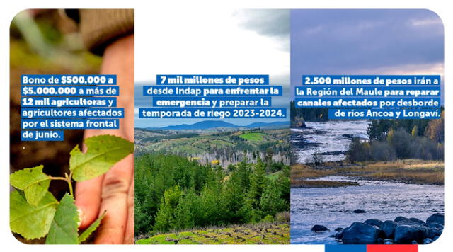 Detalle de las medidas adoptadas por el Gobierno de Chile para afrontar las inundaciones. Foto: Twitter Ministerio de Agricultura de Chile   