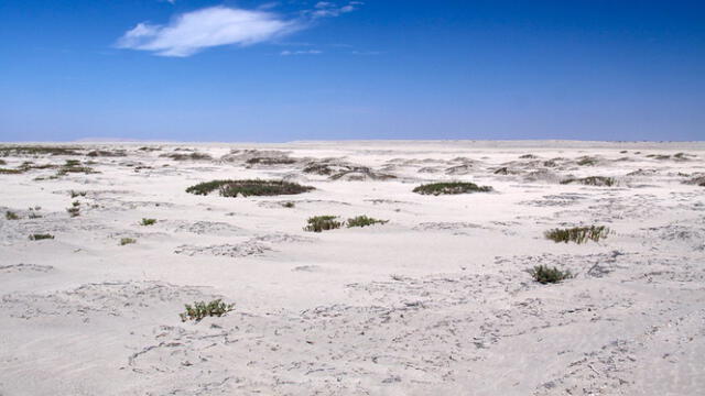  Así luce el Desierto de Paita. Foto: Flick Douglas Fernandes   