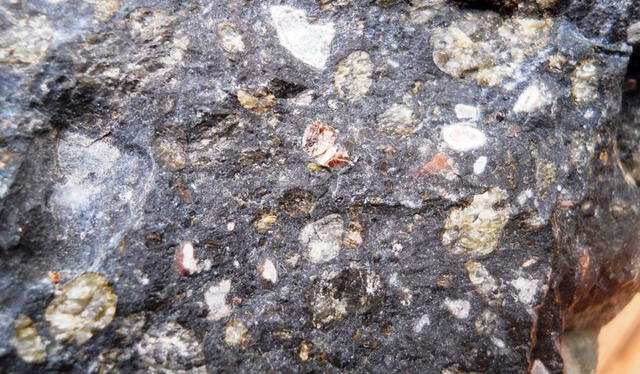  Una kimberlita con diamantes incrustados. Foto: Lucio Villegas / Atlas de rocas ígneas    