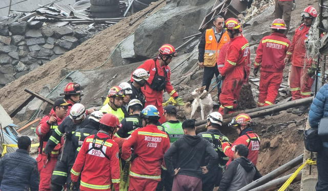 Perro guía ayudó en el rescate del cuerpo del menor. Foto: La República   