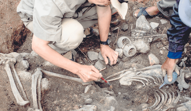 La tumba y el equipo. En la presente temporada participaron estudiantes de arqueología de San Marcos. Foto: difusión    
