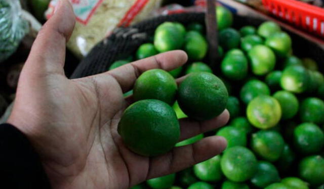  Precio del limón mantiene su precio elevado en los mercados arequipeños. Foto: La República/Archivo   