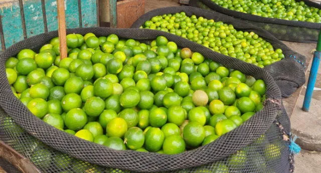  Actualmente el limón cuesta S/ 15.00 el kilógramo. Foto: EP    