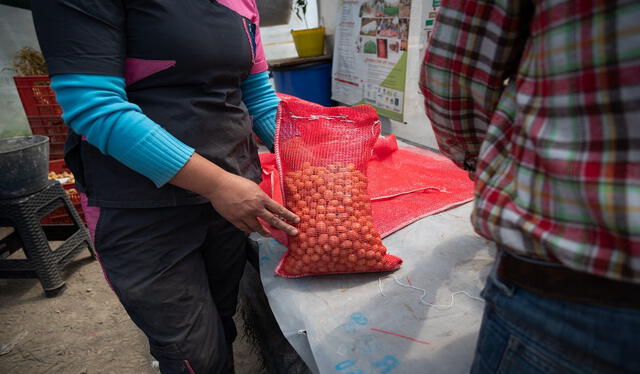  Una mujer muestra una bolsa de semillas de papa empacadas para ser comercializadas por PROINPA, en Venezuela. Foto: AFP<br>   