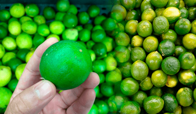 El limón Tahití no tiene un sabor tan agrio como el limón sutil. Foto: composición LR/Steffano Trinidad/LR/Agraria   