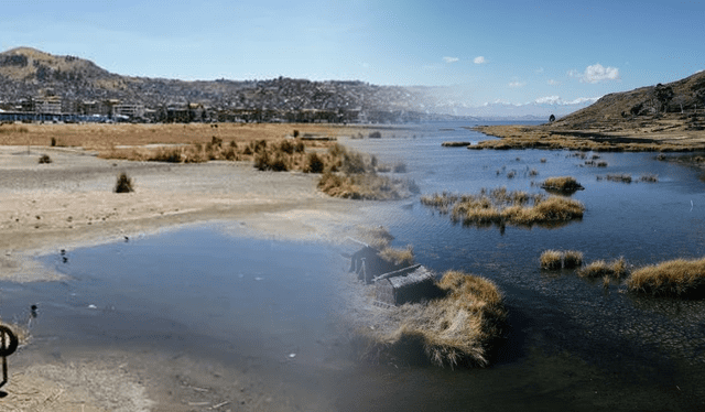  La aparición de microalgas en la superficie del lago Titicaca también representa un peligro para la fauna de esta área natural. Foto: composición LR/Steffano Trinidad/El País    