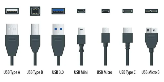  Diferencia los tipos de conectores. Foto: JVS Informática    