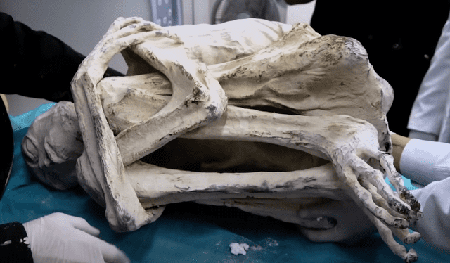  La momia conocida como 'María' fue exhibida como un ejemplar sobresaliente de esta supuesta nueva especie. Captura de video: Gaia / YouTube    