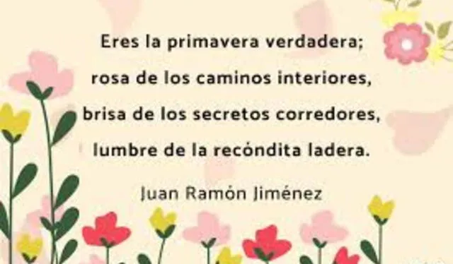  Frases Día de la Primavera. Foto: Pinterest   