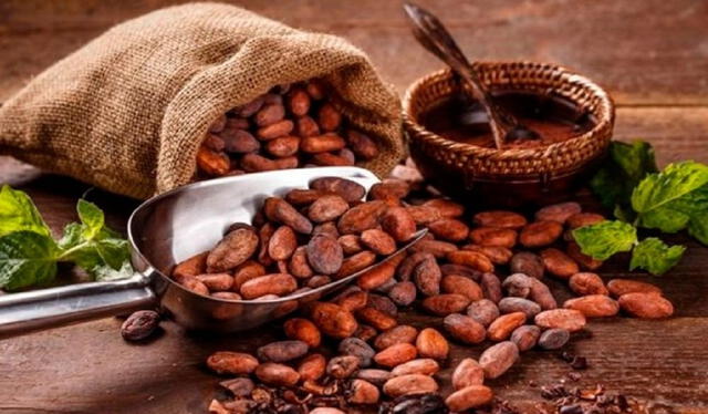  El cacao peruano tiene una amplia variedad genética. Foto: GoRaymi  