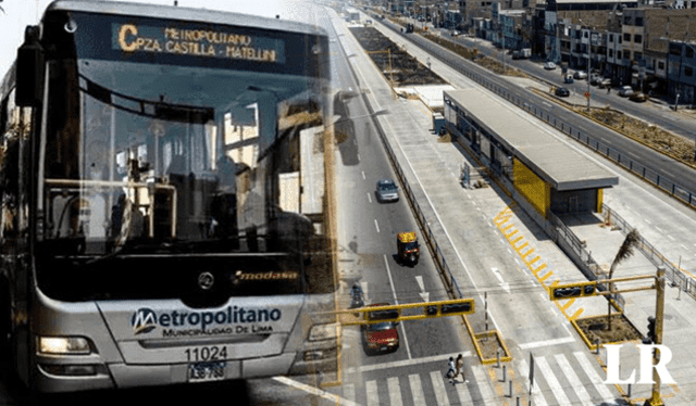 Metropolitano