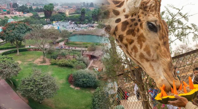 El nuevo Parque de las Leyendas quedará en Huachipa. Foto: composición LR   