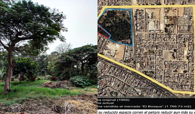 El Bosque de Caja de Agua conformó un amplio espacio de San Juan de Lurigancho. Foto: composición LR/Julio Abanto/San Juan de Lurigancho.com   