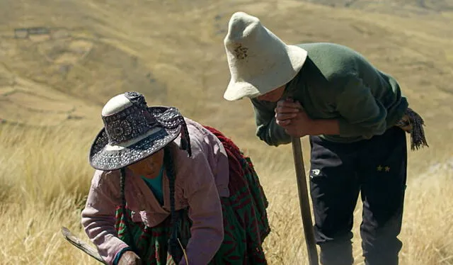 ‘Kinra’ trata sobre la migración y se aleja de los clásicos paisajes turísticos de Cusco. Foto: Festival de Cine de Mar del Plata   