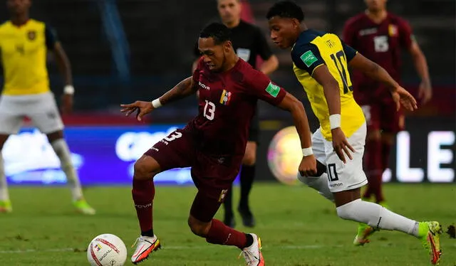 Venezuela enfrentará a Ecuador en la quinta fecha de las Eliminatorias Sudamericanas 2026. Foto: AFP   