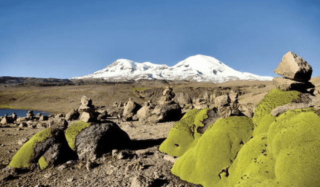 El volcán Coropuna supera los 6.000 metros de altura. Foto: IGP   