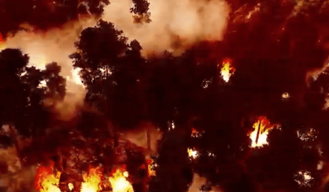 Incendios forestales en la Amazonía Peruana, producto del cambio climático. Foto: Serfor   
