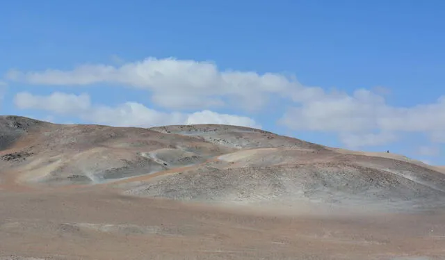 Pese a su importancia, pampas de La Joya se ha visto en peligro por invasores de terreno. Foto: Andina    