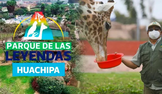  Conoce cuándo se inaugurará el nuevo Parque de las Leyendas, sede Huachipa, y cuánto costarán las entradas. Foto: composición LR    