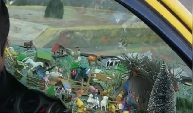 Nacimiento dentro de un carro es sensación en TikTok. Foto: captura de TikTok Nacimiento dentro de un carro es sensación en TikTok. Foto: captura de TikTok